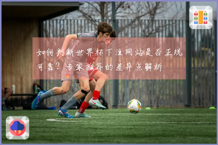 如何判断世界杯下注网站是否正规可靠？专家推荐的差异点解析