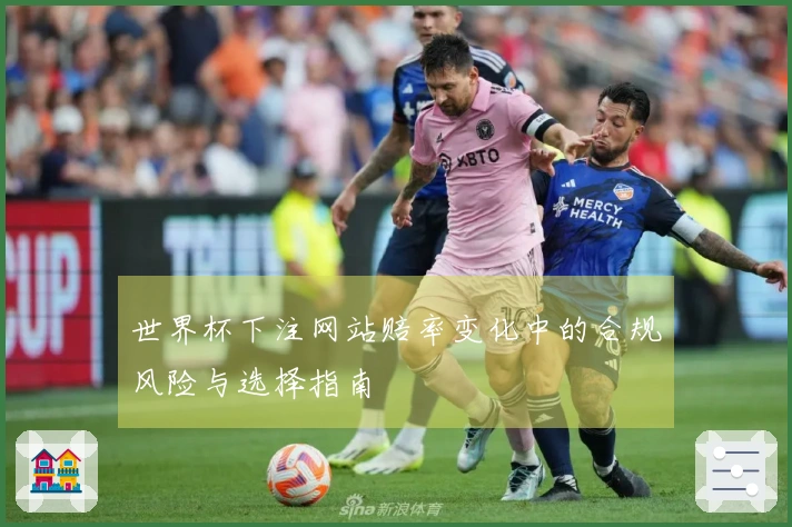 世界杯下注网站赔率变化中的合规风险与选择指南