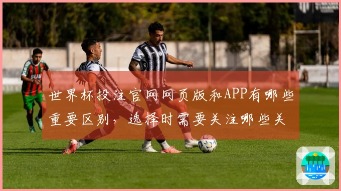 世界杯投注官网网页版和APP有哪些重要区别，选择时需要关注哪些关键点？