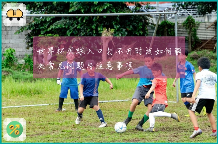 世界杯买球入口打不开时该如何解决常见问题与注意事项