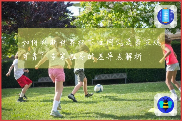 如何判断世界杯下注网站是否正规可靠？专家推荐的差异点解析