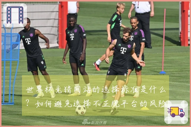 世界杯竞猜网站的选择标准是什么？如何避免选择不正规平台的风险？