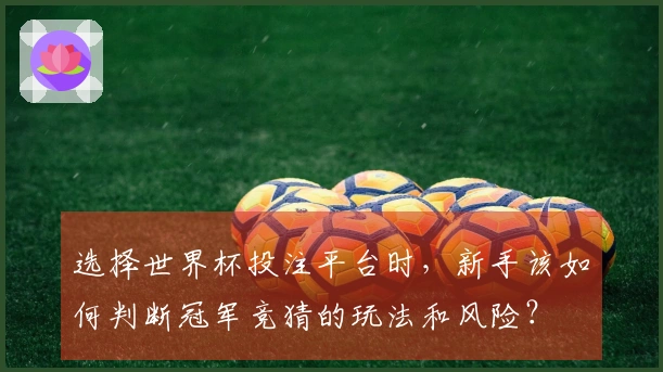 选择世界杯投注平台时，新手该如何判断冠军竞猜的玩法和风险？