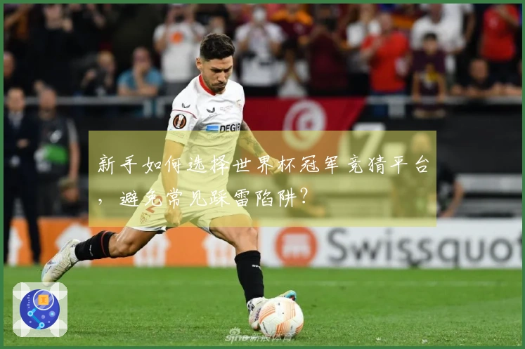 新手如何选择世界杯冠军竞猜平台，避免常见踩雷陷阱？