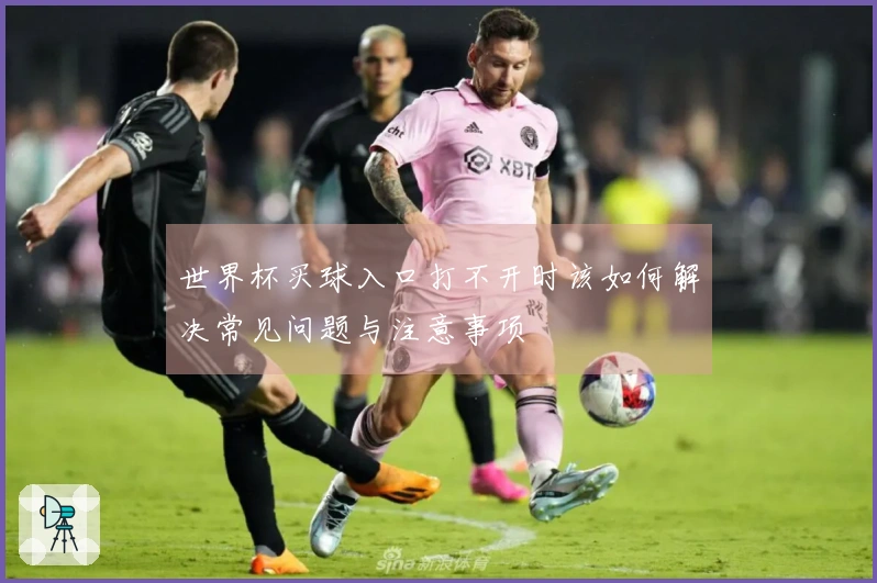 世界杯买球入口打不开时该如何解决常见问题与注意事项