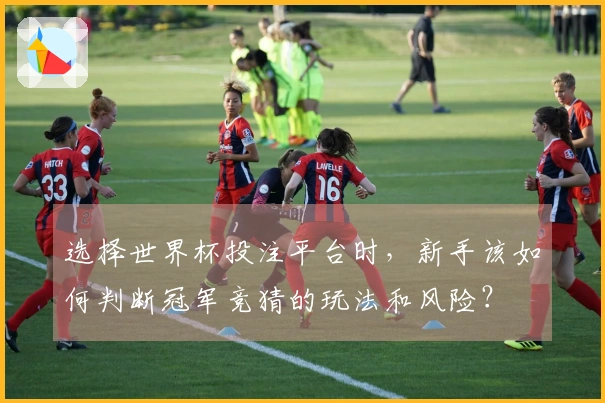 选择世界杯投注平台时，新手该如何判断冠军竞猜的玩法和风险？