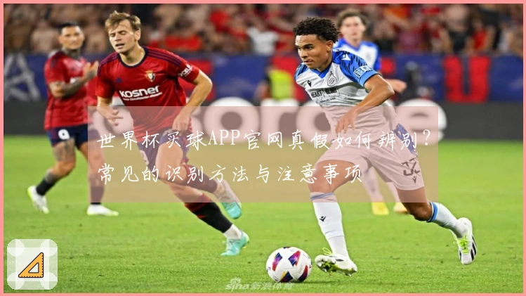 世界杯买球APP官网真假如何辨别？常见的识别方法与注意事项