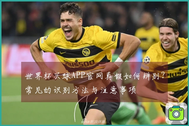 世界杯买球APP官网真假如何辨别？常见的识别方法与注意事项